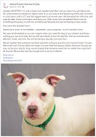 AFHS_Newsletter_SPRING 2022