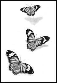 Pin En Mariposas