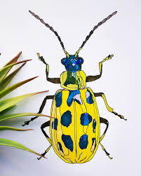 A Funny Guy With A Funny Name The Spotted Cucumber Beetle Diabrotica Undecimpunctata Drawn With Art Liner And Art Markers Marker Art Beetle Funny Names