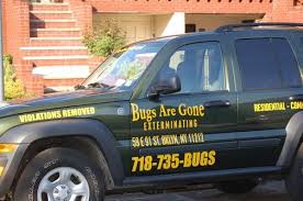 Our affordable pest control services in the bronx is the reason so many property owners have us on speed dial. Exterminator Brooklyn Ny Bugs Are Gone Exterminating 11212