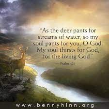 As pants the deer psalm 42a. Benny Hinn On Twitter As The Deer Pants For Streams Of Water So My Soul Pants For You My Soul Thirsts For God For The Living God Http T Co Ffir7cdde8