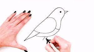 How To Draw A Bird Step By Step 🐦| Bird Drawing Easy| Super Easy Drawings  For Kids - Youtube
