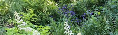 2835 jerusalem ave, bellmore, ny 11710. The Artful Gardener Rochester Ny Creative Arts For Home Garden Home