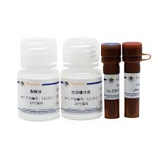 A starter base is a necessity in the game of terraria, and with the new update, comes a awesome terraria build ideas! Caspase 3 æ´»æ€§æ£€æµ‹è¯•å‰‚ç›' C1115