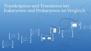 Check spelling or type a new query. Transkription Und Translation Bei Eukaryoten By Emma Peel