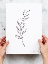 Olive Branch Line Drawing Illustration Of An Alive Branch Black And White Ollive Branch Drawing Olive Branc Branch Drawing Olive Branch Branding Design Logo Hand drawing olives vintage olive branches oil vector. olive branch line drawing illustration