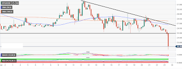 Bitcoin Gold Market Update Breaks 25 Support To Post 14