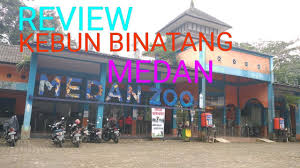 Berapa harga tiket bali zoo untuk lokal ktp bali, domestik, dan kitas holder? Review Kebun Binatang Medan Zoo Sumut Youtube