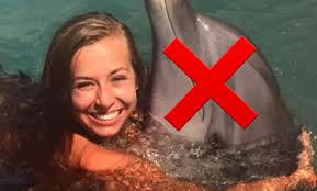 It's a bad week to be a dolphin!!! #finsdown