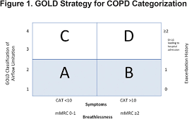 Image result for COPD Staging
