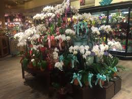 We offer breathtaking selections of the highest quality flowers and blooming plants. Pin On Safeway Flower Shop