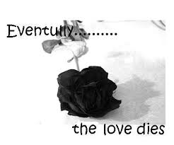 We are the flower that never dies: That Love Never Dies It Dies In Deep Pain Home Facebook