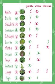 Epingle Sur Jardinage