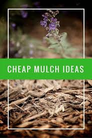 24 Cheap Mulch Ideas To Save Money Epic Gardening Cheap Mulch Mulching Mulch Landscaping