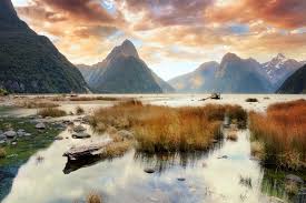 Find out about new zealand made products and investing in new zealand businesses. Studieren In Neuseeland Auslandssemester Auslandsstudium Iec