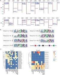 This document contains the federal rules of appellate procedure, ninth circuit rules and circuit advisory committee notes, and is provided in html format and as an adobe acrobat pdf document. Functional Analysis Of The Cotton Cle Polypeptide Signaling Gene Family In Plant Growth And Development Scientific Reports