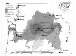 The region is overlain with loess blown in by the wind and deposits from cataclysmic glacial floods, underlain by thousands of feet of columbia river basalt group lava flows. Geographic Extent Of The Miocene Columbia River Basalt Group Download Scientific Diagram
