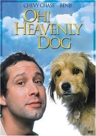 Single people will have mixed results when it comes to their love life. Oh Heavenly Dog Movie Review Film Summary 1980 Roger Ebert