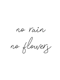 Instagram Feed Meaningful Black And White Quotes Pinterest No Rain No Flowers Phrase Tattoos No Rain No Flowers Health Quotes Inspirational