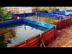 Pin On Piscicultura
