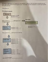 Where is atp used for and atp meaning from the acronym and abbreviation dictionary. Instructions Regarding The Use Of Glucose In Cell Chegg Com