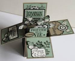 Carte Boite Et Mini Album Le Blog De Thaliescrap Carte Carte Anniversaire Boites A Cartes