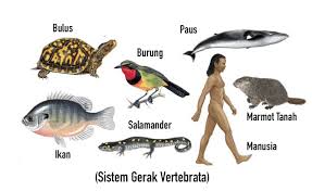 Pin Di Gambar Ilustrasi Hd