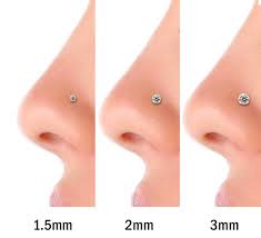 14 Piercing Charts You Wish You Knew About Sooner Nose Piercing Jewelry Small Nose Piercing Nose Piercing Stud