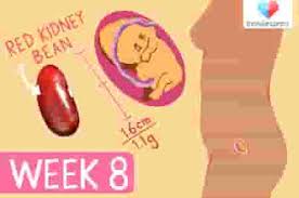 Keutamaan bulan muharram yang kedua adalah, bulan ini disebut sebagai syahrullah (bulan allah). 13 Hal Ini Bumil Rasakan Saat Hamil 2 Bulan Teramsuk Kondisi Janin