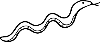 Browse and download hd white snake png images with transparent background for free. Kids Art Project Rainforest Oil Pastels Official Blog Clip Art Snakes Black And White Png Download Full Size Clipart 169364 Pinclipart