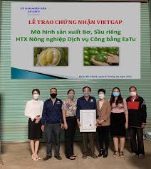 VSCB Trao Giấy Chứng Nhận VietGAP Cho HTX Nông Nghiệp Dịch Vụ Công Bằng EA  TU