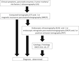 As the cancer grows it can start to cause symptoms. Effective Screening For Early Diagnosis Of Pancreatic Cancer Sciencedirect