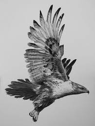 Pin By Tc Sahin Demirhan On Besiktas Dovme Hawk Tattoo Eagle Tattoos Bird Drawings