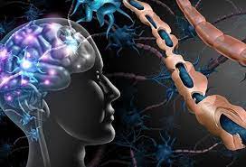 In the last few decades, a plethora of scientific evidences have accumulated and confirmed the beneficial role of physical activity as a modifiable risk factor for a wide variety of chronic dis … 43 Anzeichen Symptome Und 4 Typen Stadien Der Multiplen Sklerose Drogen