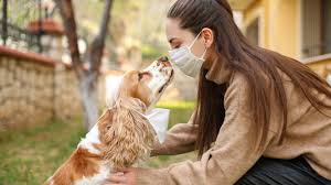 Animal hospital & dental clinic. How Much Does A Vet Visit Cost Here S Everything You Need To Know Pawlicy Advisor
