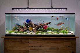 Aquarium supplies and fish care