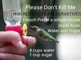 To make your hummingbird food recipe solution, follow these instructions without deviation from ingredients. Hummingbird Food 4 Cups Water 1 Cup Sugar Bring Water To A Boil Add Sugar And Stir Until Dissolved Allow Hummingbird Food Humming Bird Feeders Bird Garden
