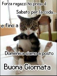 Buongiorno Divertenti Buongiorno Divertente Buongiorno Immagini Buongiorno