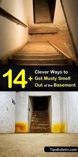 One more item that does an excellent job of removing odors is baking soda—that's why many people keep it in their refrigerators. 14 Clever Ways To Get Musty Smell Out Of Basement