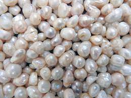 Check spelling or type a new query. Freshwater Pearl Farming The Ins And Outs Tps Blog