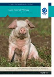 Pdf Farm Animal Welfare Past Present And Future