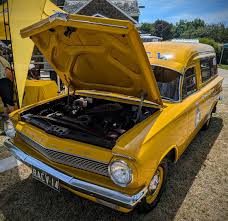 Image result for Yellow 1964 Fleet