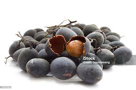 Image result for Dialium guineense