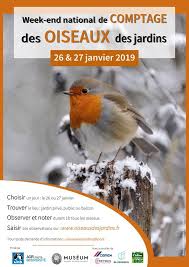 7eme Week End National De Comptage Des Oiseaux Des Jardins Le Jardinoscope Toute La Vie Animale De Nos Parcs Et Jardins Oiseaux Des Jardins Parc Et Jardin Et Oiseaux