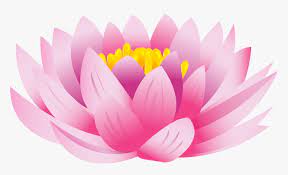 Check spelling or type a new query. Download Flower Background Toppng Lotus Flower Images Png Transparent Png Transparent Png Image Pngitem