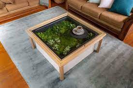 Make A Coffee Table Terrarium Better Homes Gardens Australia Coffee Table Terrarium Diy Coffee Table Fish Tank Coffee Table