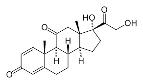 Image result for Prednisone