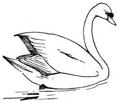 By best coloring pagesoctober 17th 2019. Free Swan Coloring Pages Bird Coloring Pages Coloring Pages Princess Coloring Pages