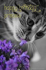 Share the best gifs now >>> Happy Birthday Images With Cats And Flowers Foto Kolekcija