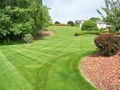 Absolute Lawns+Tree Services